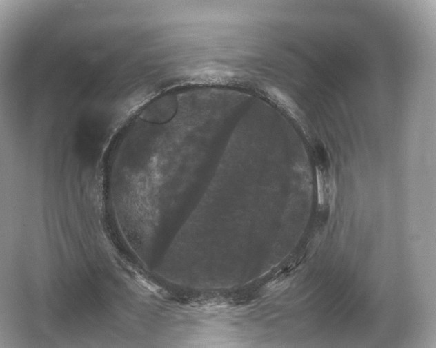 X0000066540675200603241412