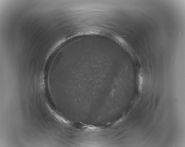 X0000066540676200603241412