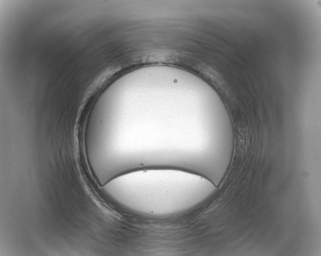 X0000066540678200603241412