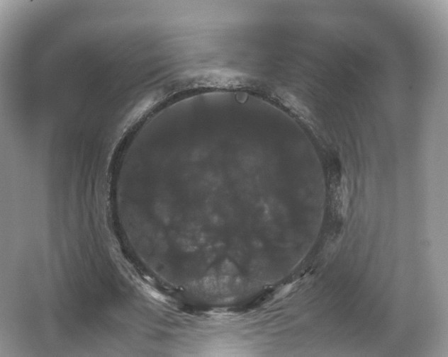 X0000066540679200603241412