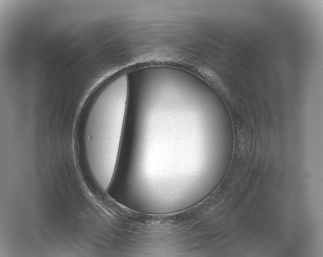 X0000066540680200603241412