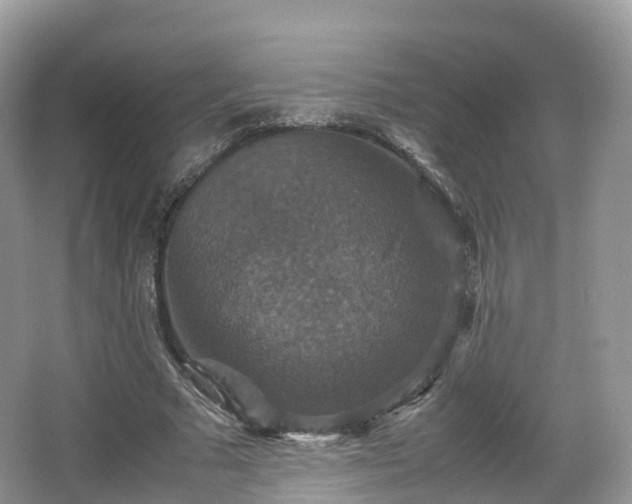 X0000066540681200603241412