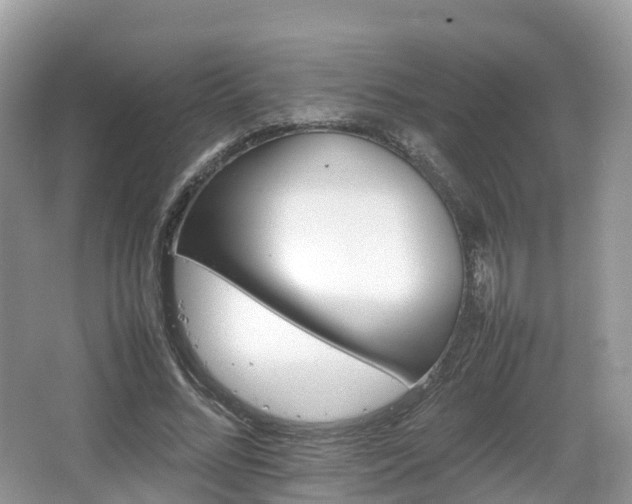 X0000066540684200603241412