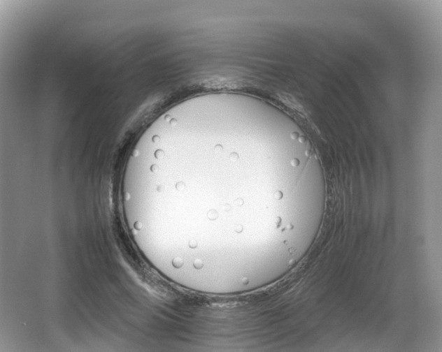 X0000066540686200603241412