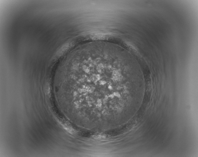 X0000066540687200603241412