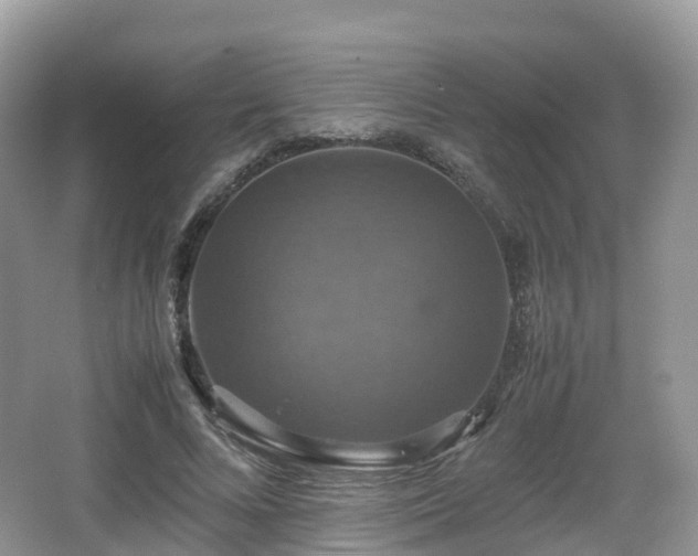 X0000066540688200603241412