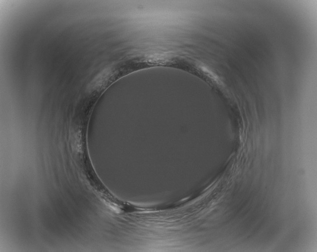 X0000066540689200603241412