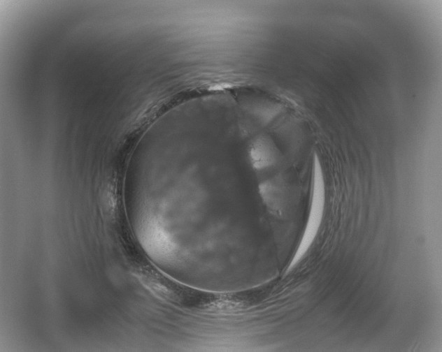 X0000066540691200603241412