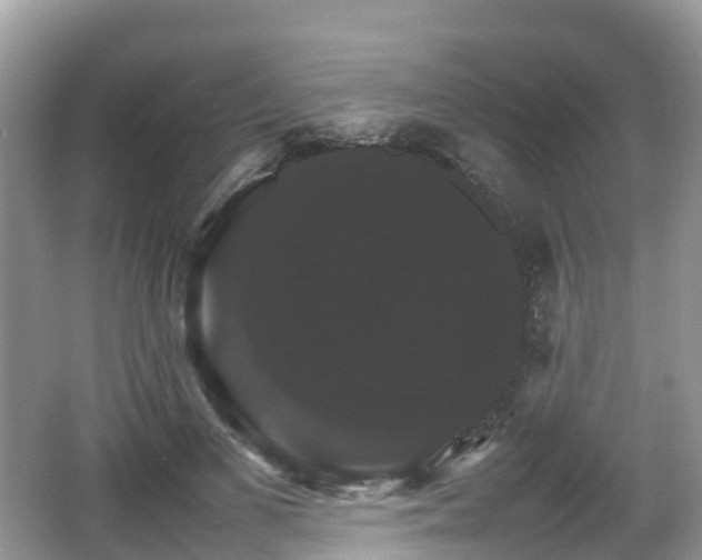 X0000066540693200603241411