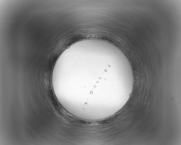 X0000066540695200603241411