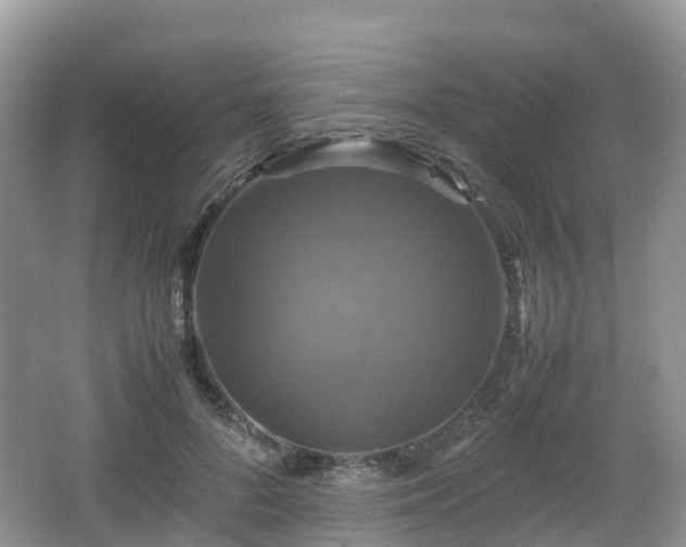 X0000066540696200603241411