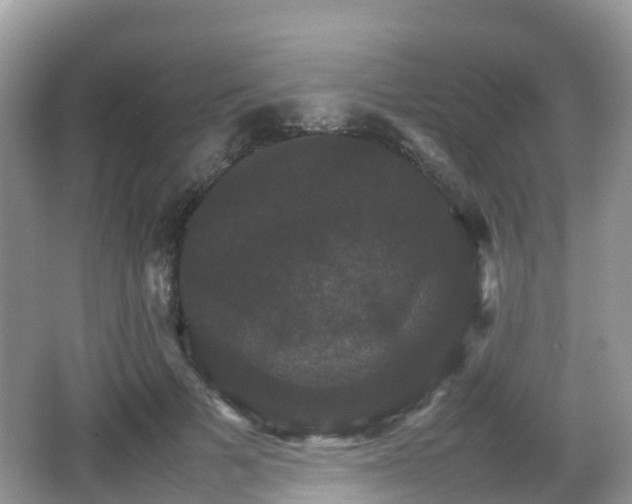 X0000066540697200603241411