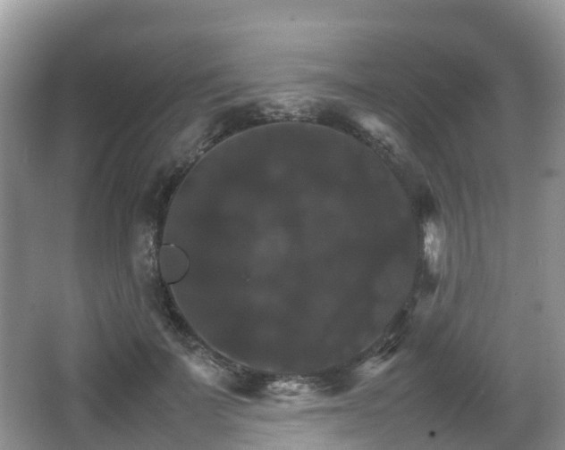 X0000066540699200603241411