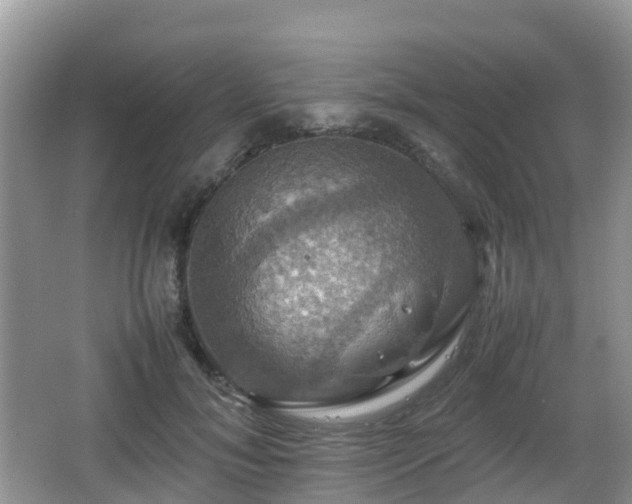 X0000066540700200603241411