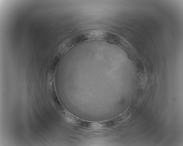 X0000066540701200603241411