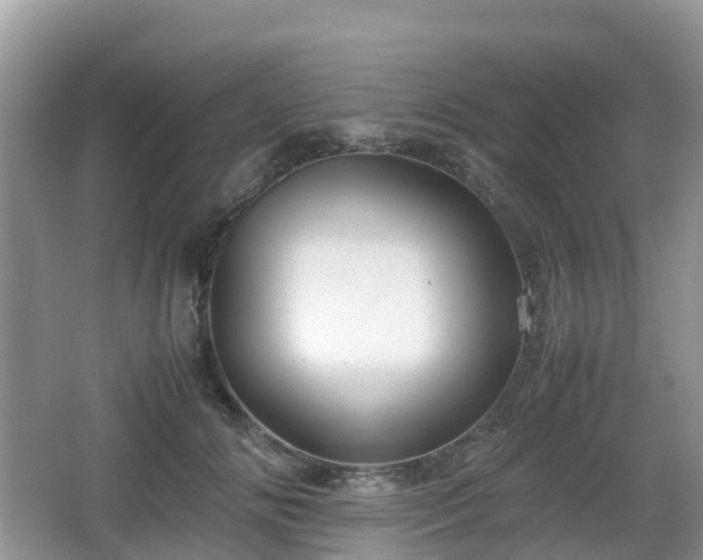 X0000066540702200603241411