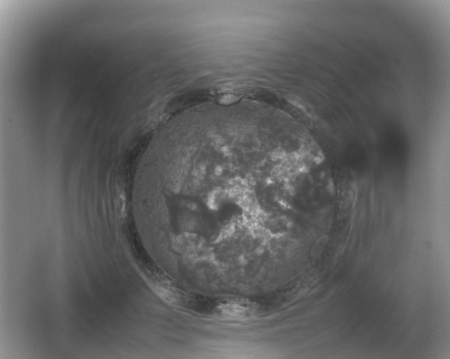 X0000066540703200603241411