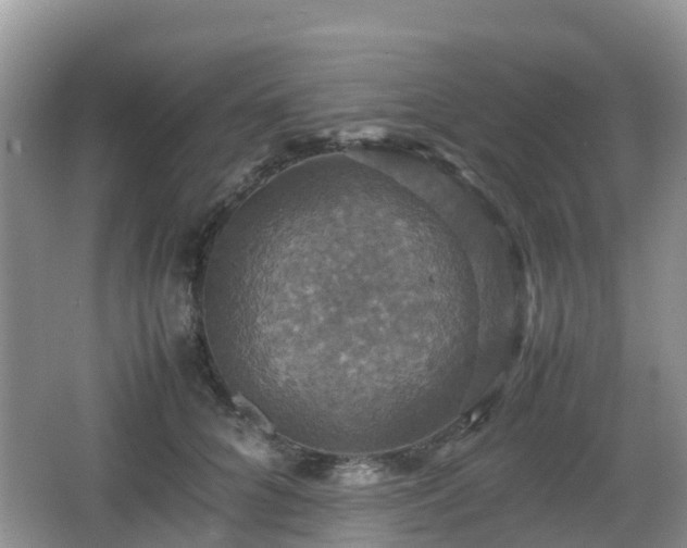 X0000066540704200603241411