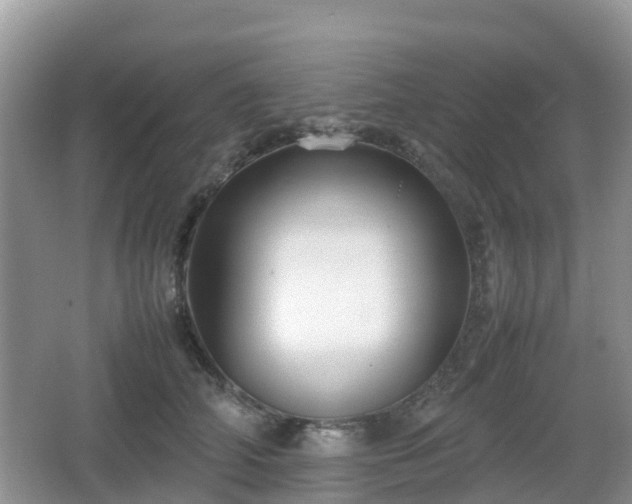 X0000066540706200603241411