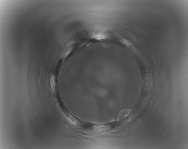 X0000066540707200603241411