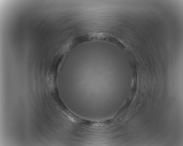 X0000066540708200603241411