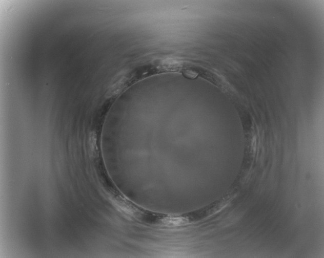 X0000066540711200603241411