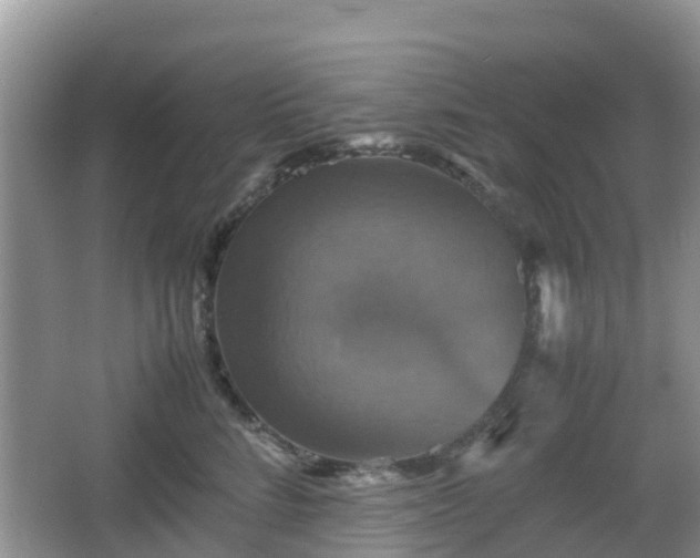 X0000066540712200603241411