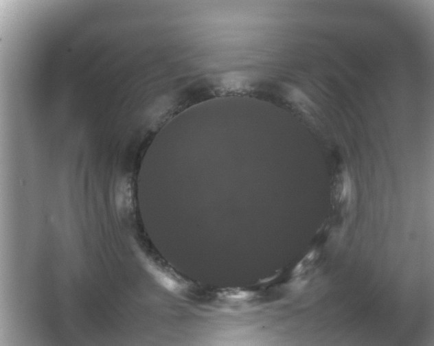 X0000066540715200603241411