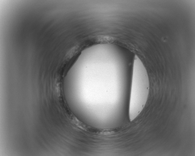 X0000066540716200603241411