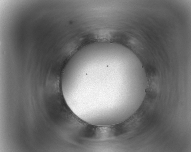 X0000066540717200603241411