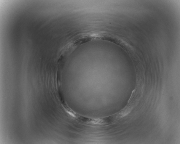 X0000066540720200603241411