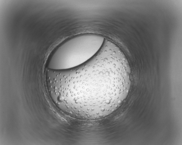 X0000066540721200603241410