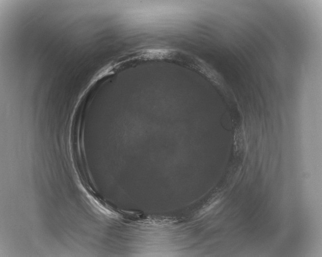 X0000066540722200603241410