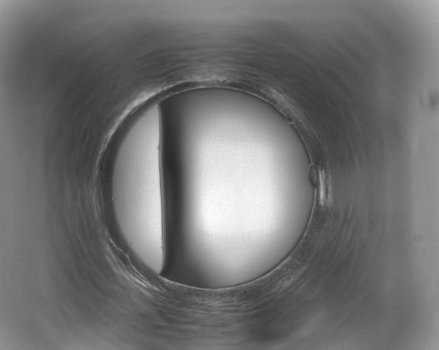 X0000066540723200603241410