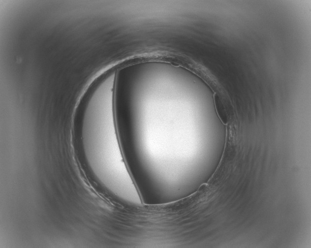 X0000066540724200603241410