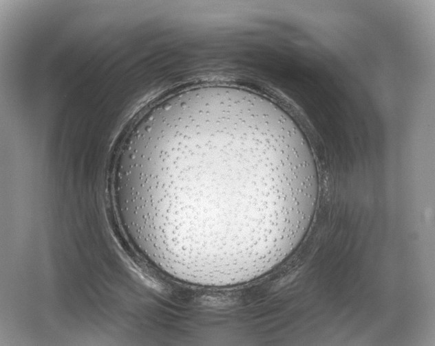 X0000066540725200603241410