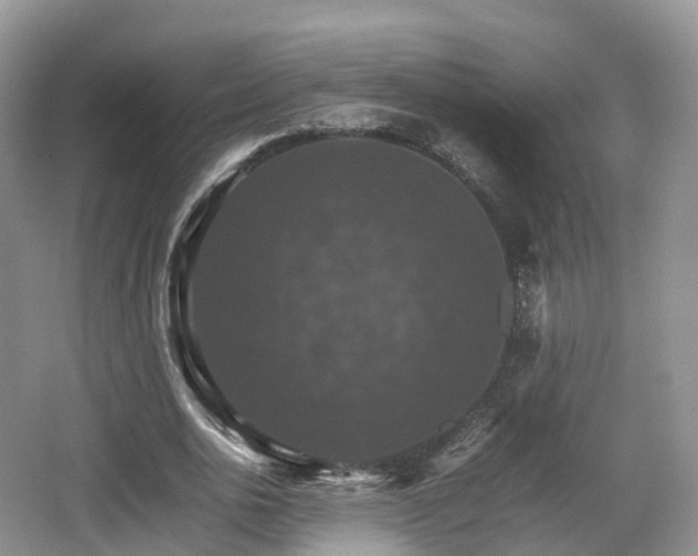 X0000066540726200603241410