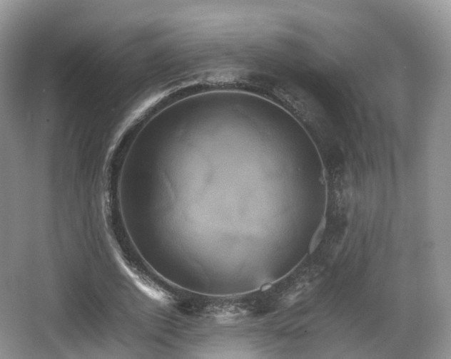 X0000066540728200603241410