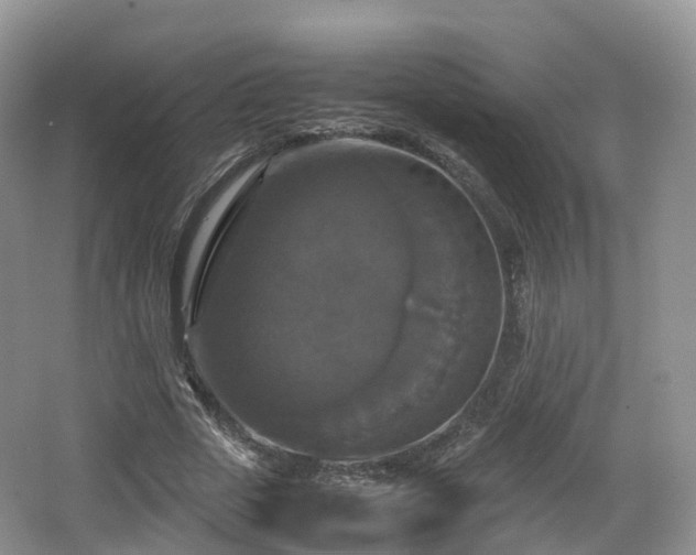 X0000066540729200603241410