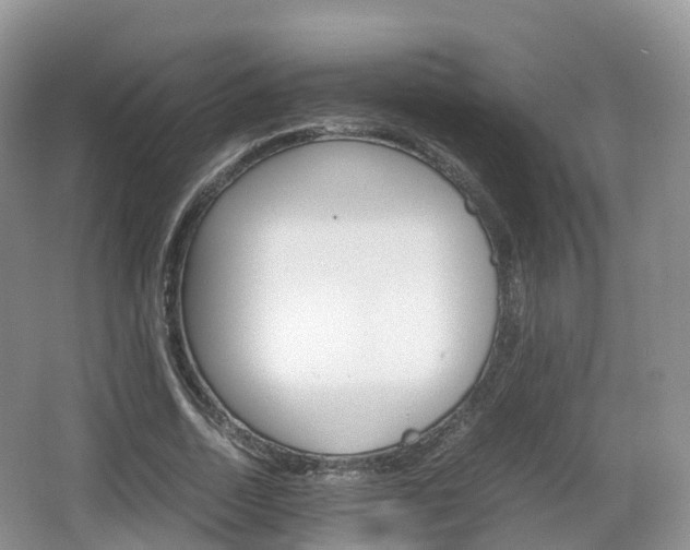 X0000066540730200603241410