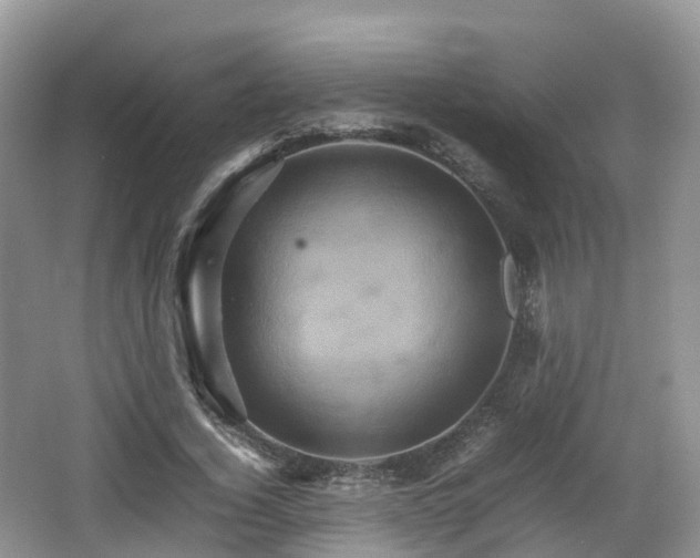 X0000066540732200603241410