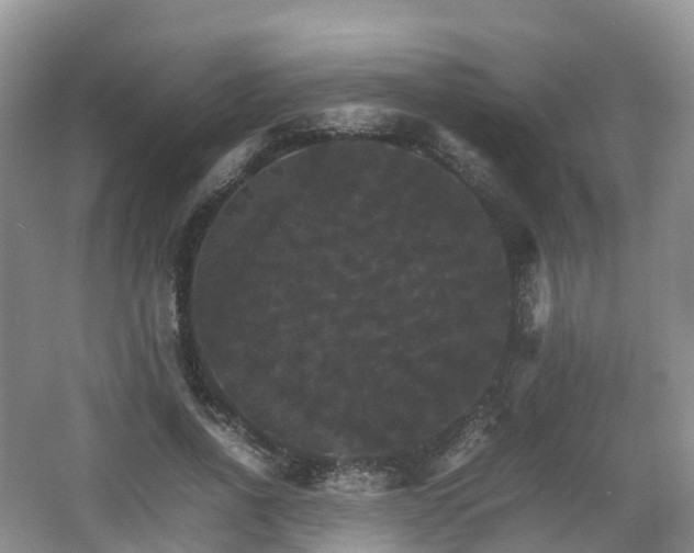 X0000066540734200603241410