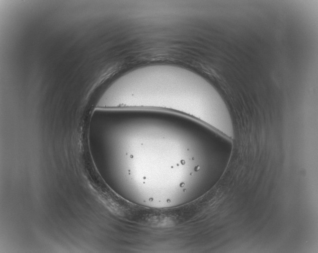 X0000066540735200603241410