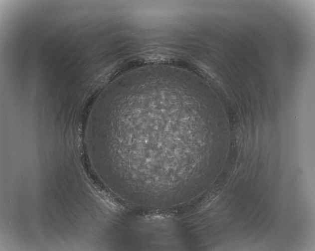 X0000066540737200603241410