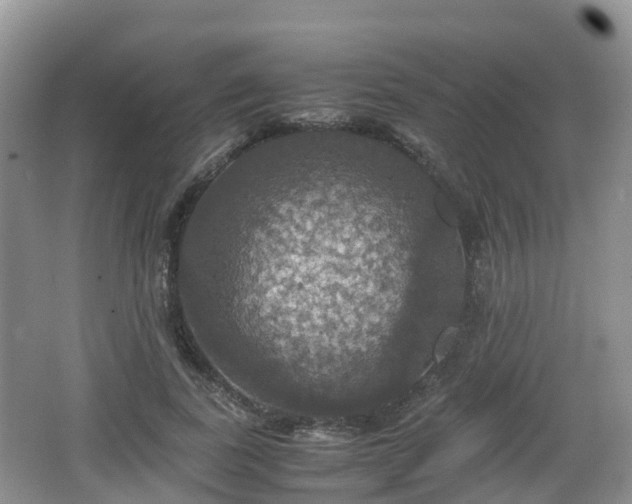 X0000066540739200603241411