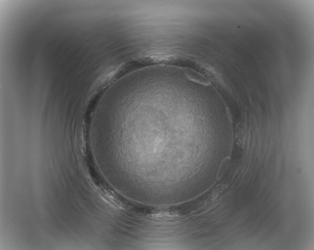 X0000066540740200603241411