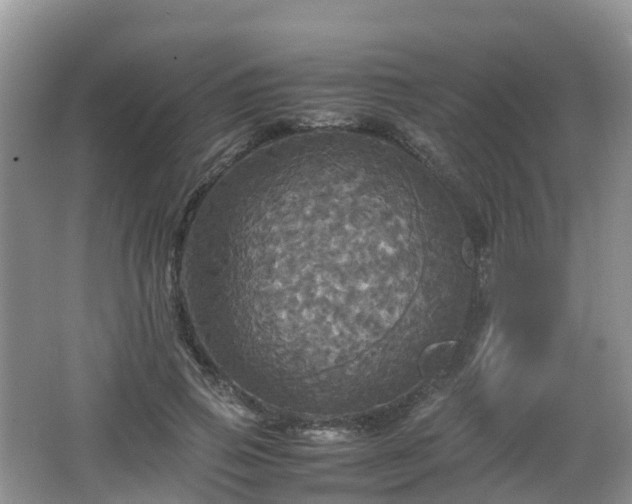 X0000066540741200603241411