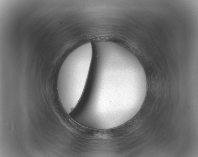 X0000066540742200603241411