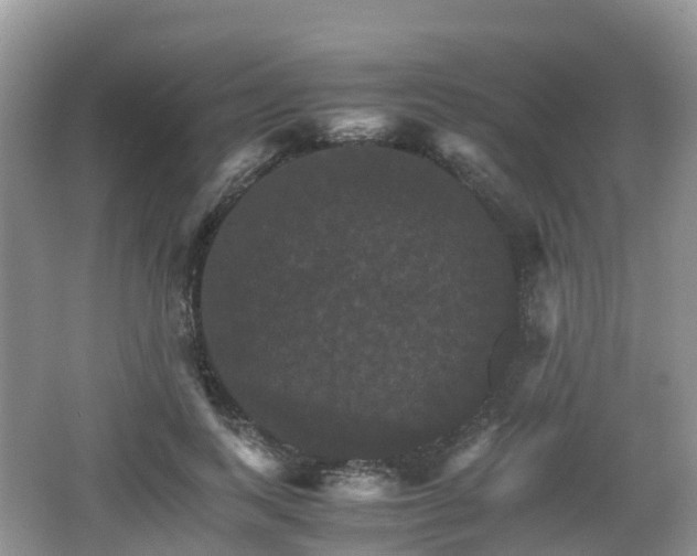 X0000066540743200603241411