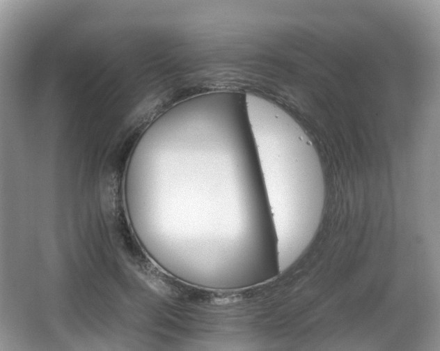 X0000066540744200603241411